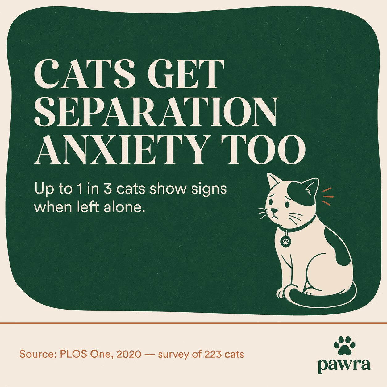 Cats get separation anxiety too